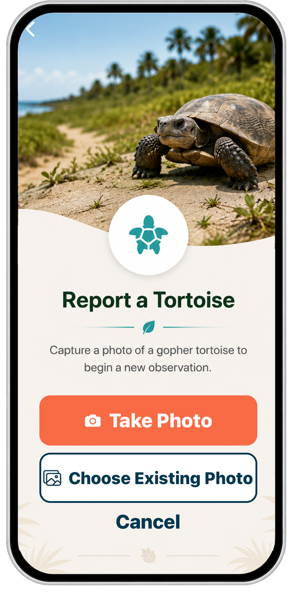 Report a Tortoise Final transparency