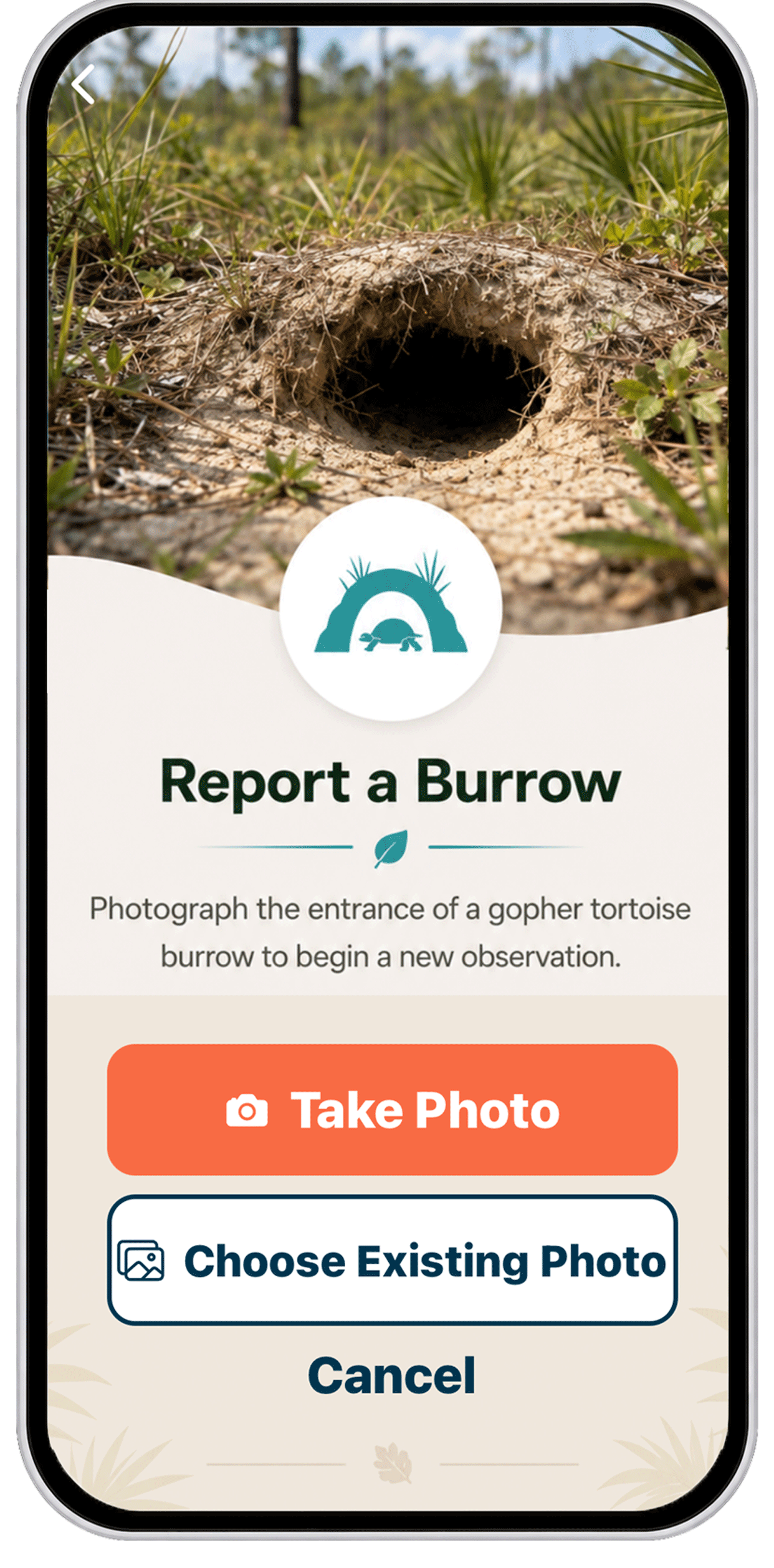 Report a burrow Final transparency